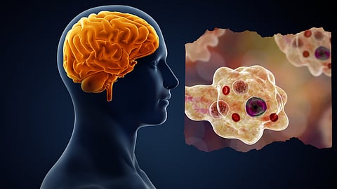 Brain-eating Amoeba