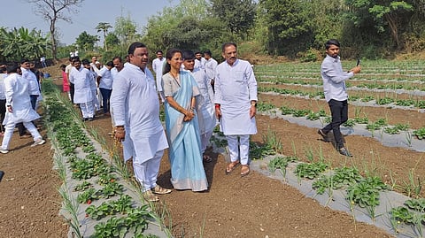 Supriya Sule