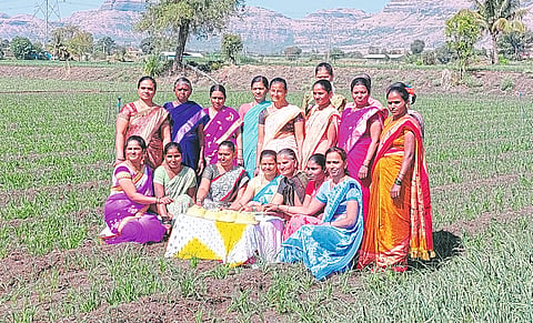 शेतात केक कापून नववर्षाचे स्वागत