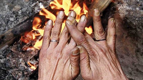Shekoti