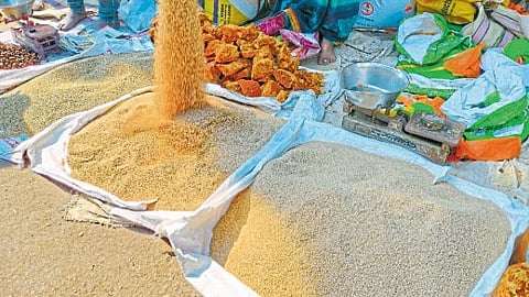 Makar Sankranti 2023 Sesame price increased by Rs 50 parbhani