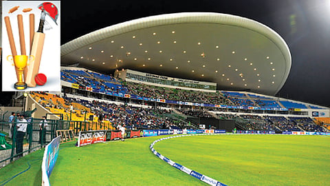 Cricket
