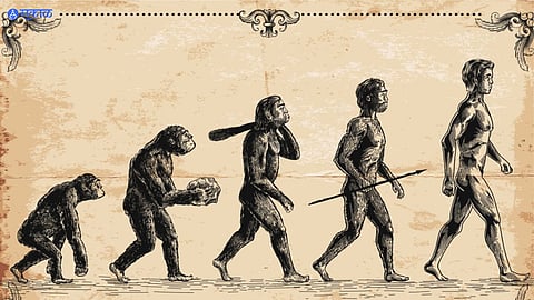 Human Fact