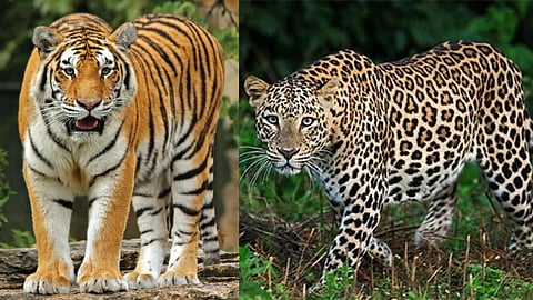 Gujarat