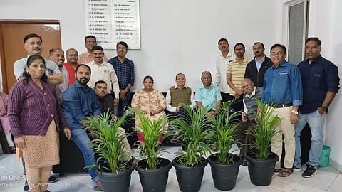 वृक्ष