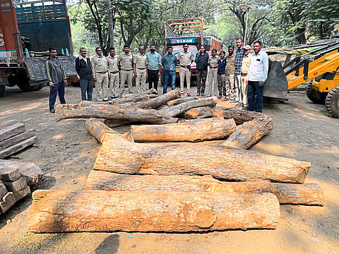 Timber seized by Forest Department and Forest Department personnel