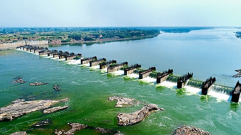 Padalse Project