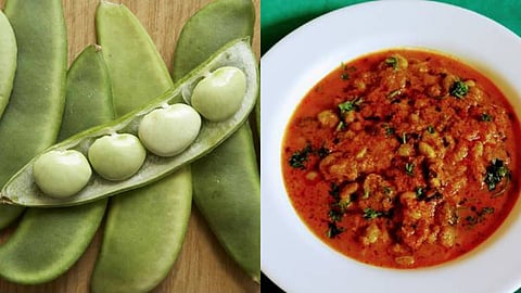 Pavta amati