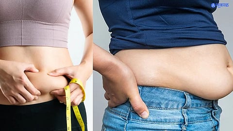 Belly Fat