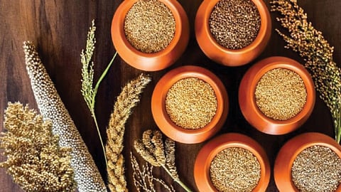 grain news