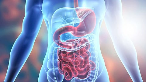 Stomach Health