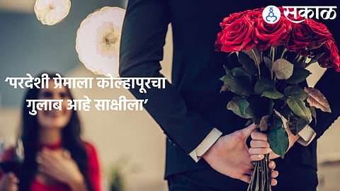 Rose Day 2023