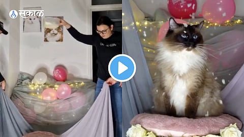 Viral Video