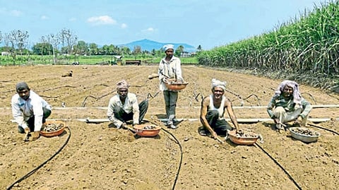 budget 2023 provisions for agriculture and rural development are lacking g20