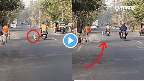 Viral Video