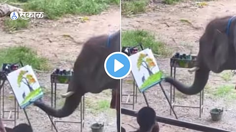 Viral Video