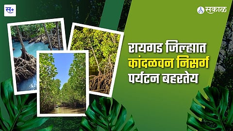 कांदळवन निसर्ग पर्यटन