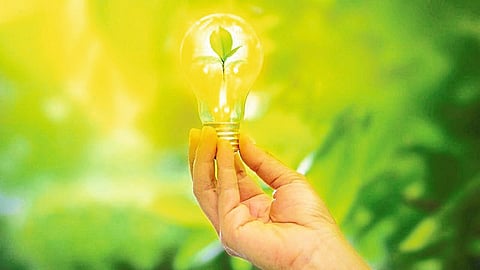 go green scheme