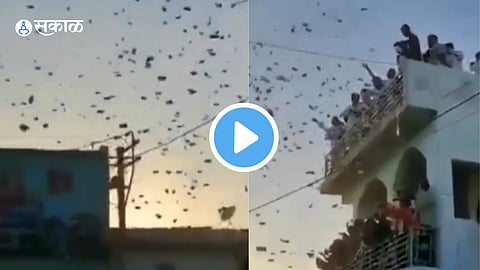 Viral Video