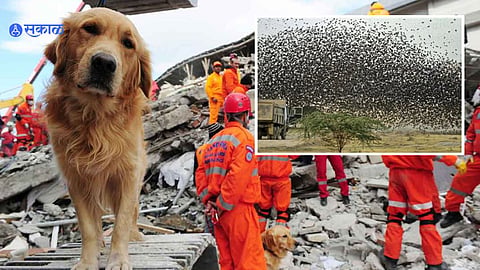 Turkey Earthquake