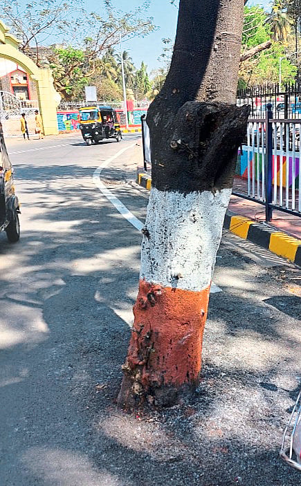 पंतप्रधान परतताच सुशोभीकरणाची चकाकी फिकी!