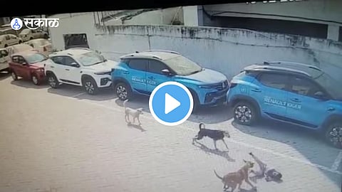 Viral