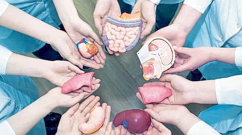 India ranks third in organ transplants in the world health human body