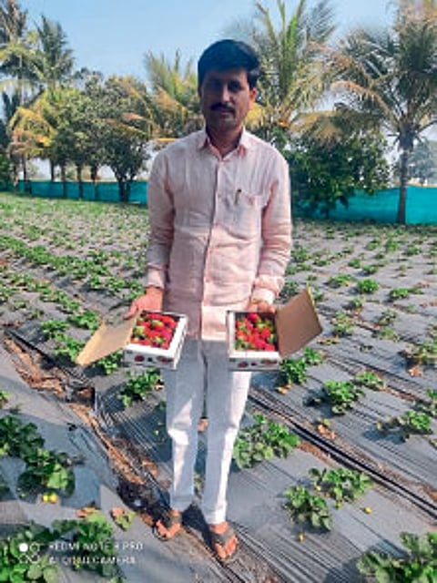 progressive farmer