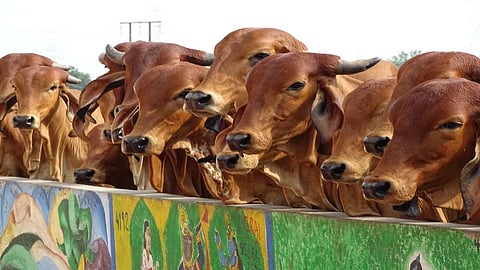 Kolhapur