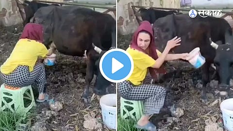 Viral Video