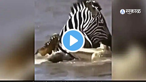 Viral Video