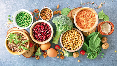 Vegetable protein