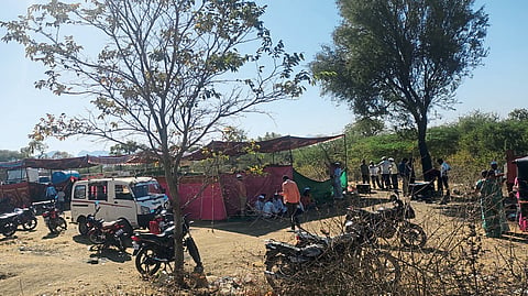 A mandap erected here for Divya Budhlias