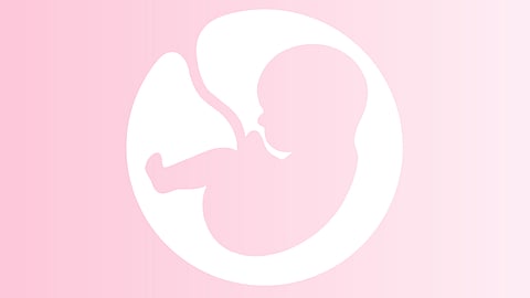 Surrogate fetus
