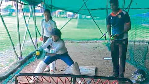 cricket