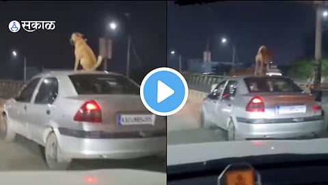Viral Video