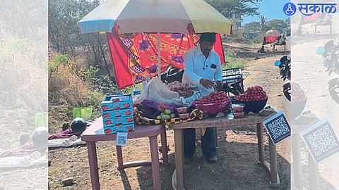 Nanduri : Juicy pink strawberry Nanduri attracts the attention of devotees visiting the fort