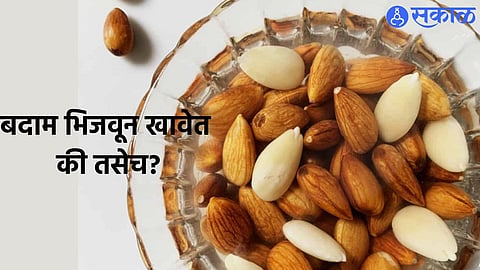 Almond Day 2023