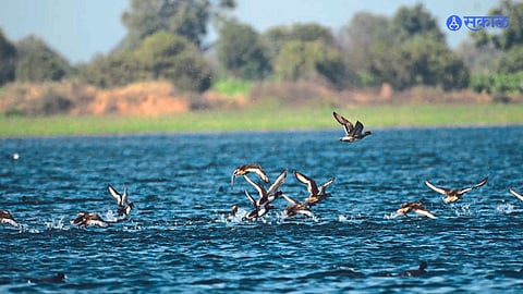 reservoir of Hatnur Dam