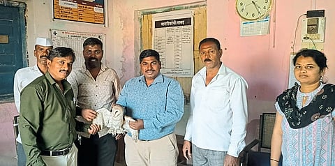 गाडेवाडी परिसरात आढळले गव्हाणी घुबड