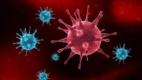 Influenza B Virus