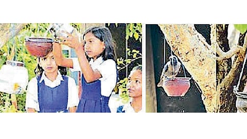 Water for Birds
