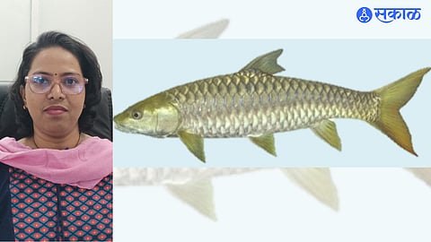 Photo of Mahasir Fish and photo of Pranita Chande Assistant Commissioner.