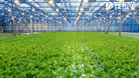 Horticulture