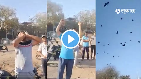 Viral Video