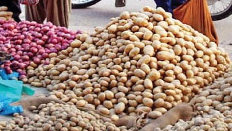 store onion and potato in market price down per kg 5 to 10 rs and 7 to 13 rs kokan