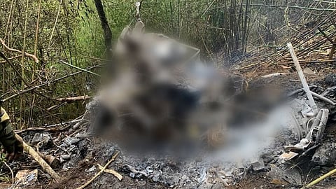 Cheetah Helicopter Crash