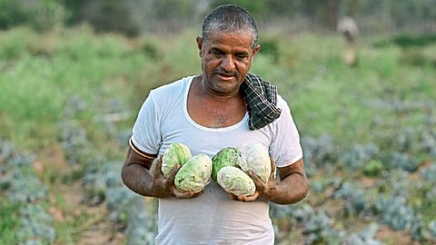 Farmer