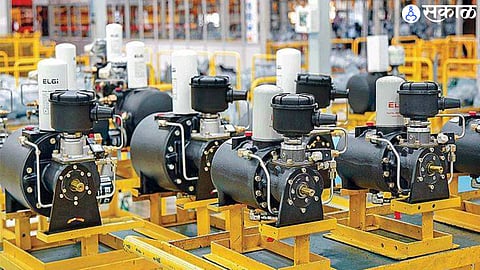 Elgi Equipments Share