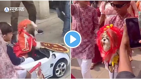 Viral Video